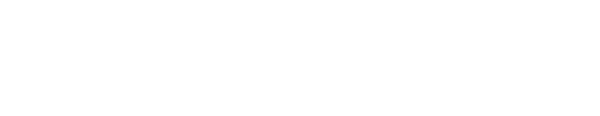 tracciato_bianco